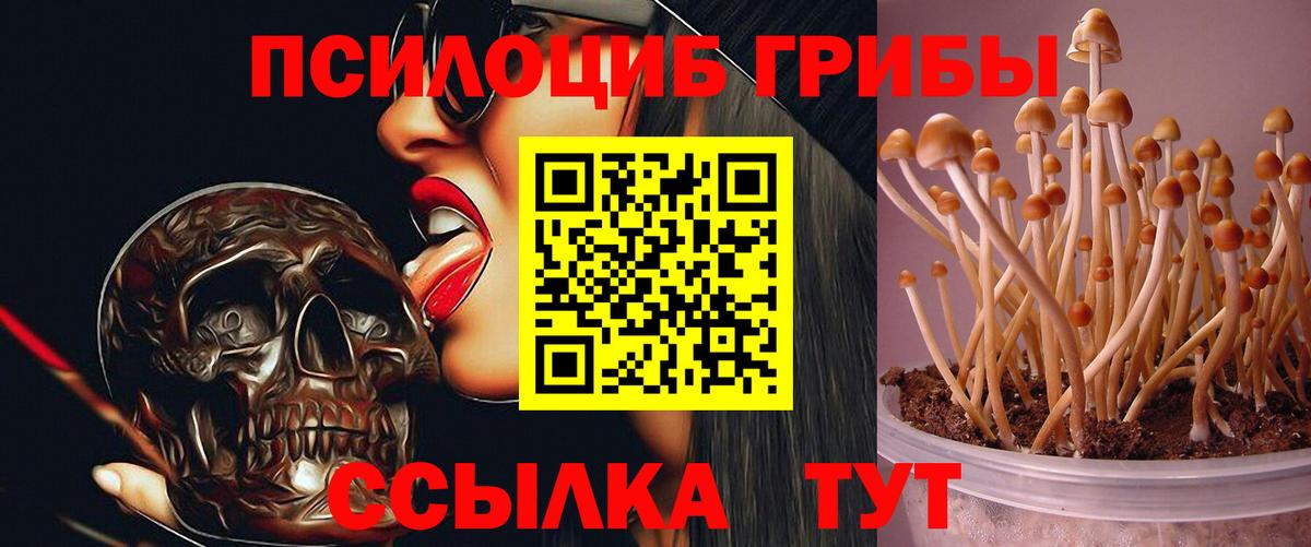Псилоцибиновые грибы MAGIC MUSHROOMS Грозный