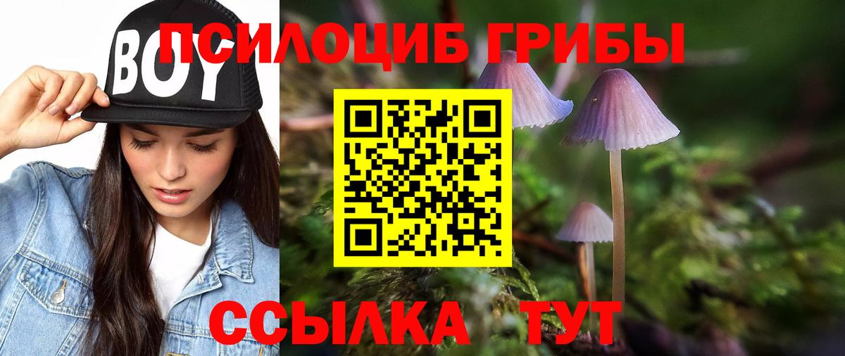 Галлюциногенные грибы Magic Shrooms  Вход с VPN  Грозный  Псилоцибиновые грибы Cubensis 